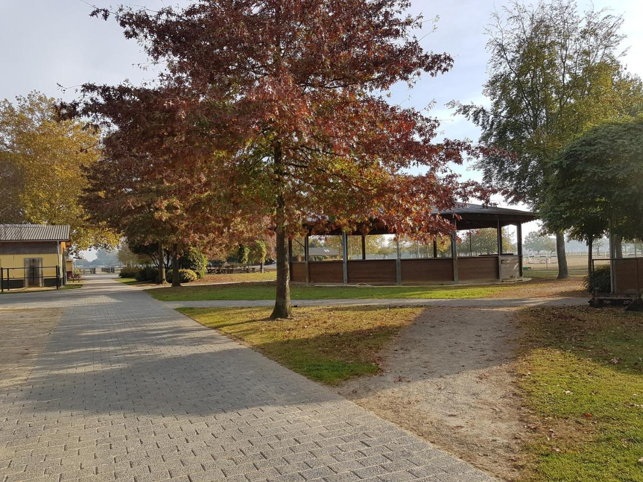 Apartments Luisenhof クレーフェルト エクステリア 写真