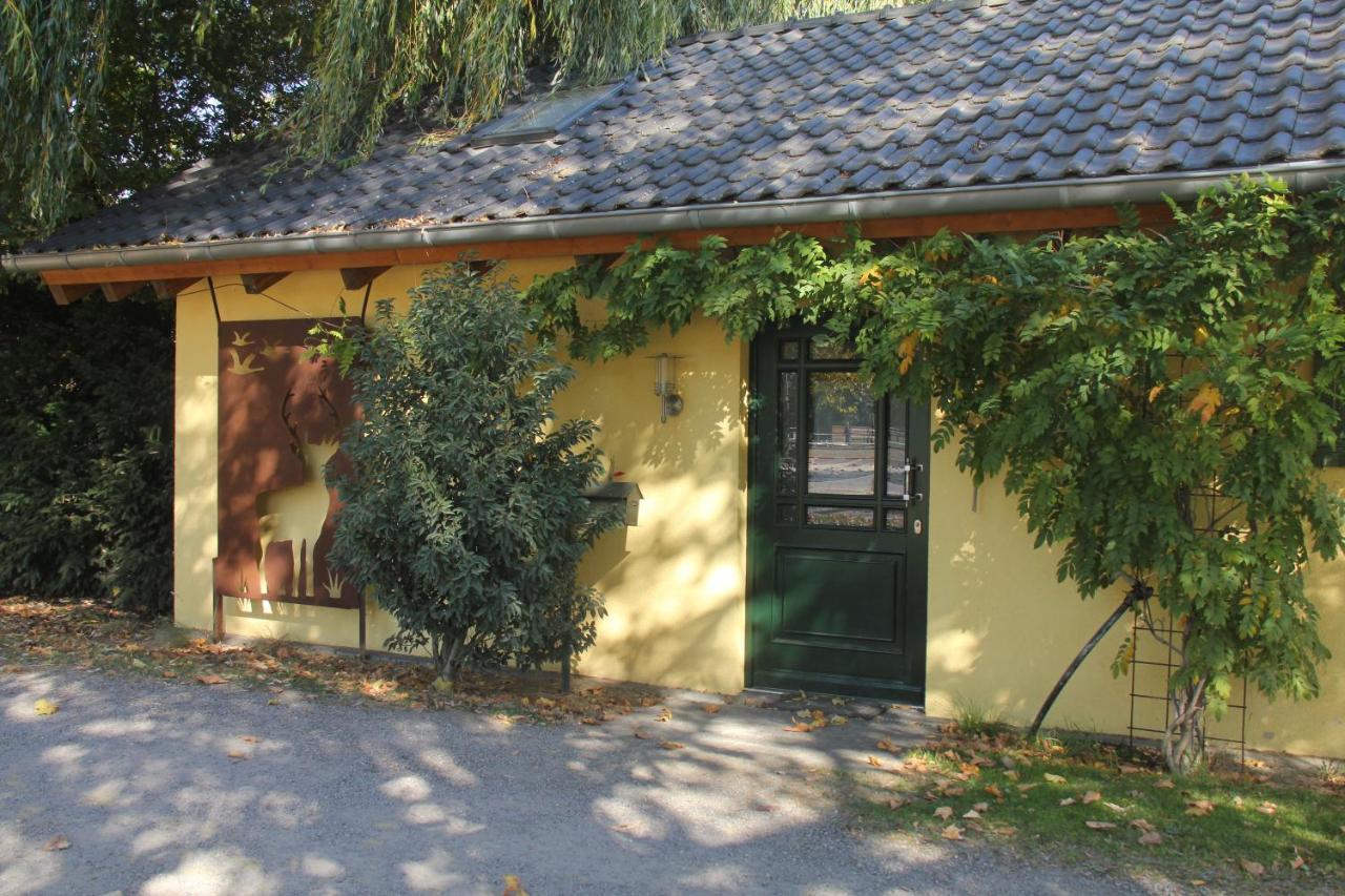 Apartments Luisenhof クレーフェルト エクステリア 写真